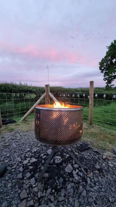 Bronfelen Yurt Hotel Cynghordy Luaran gambar