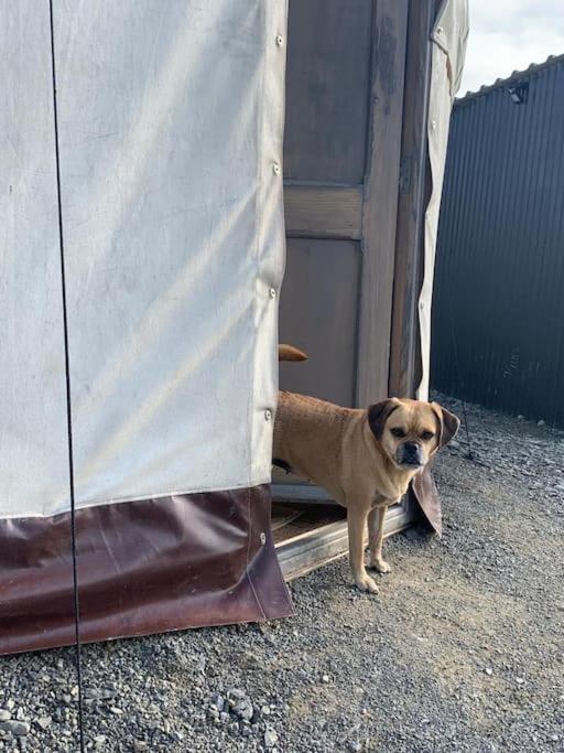 Bronfelen Yurt Hotel Cynghordy Luaran gambar
